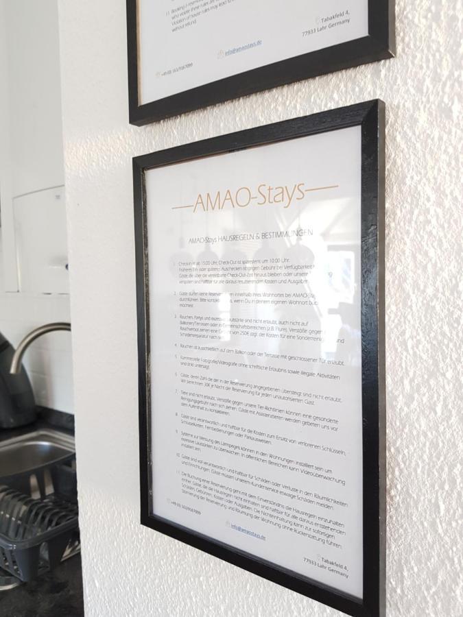 Apartment Amao-green: Center Maisonette With Rooftop Terrace Lahr (Baden-Wurttemberg)