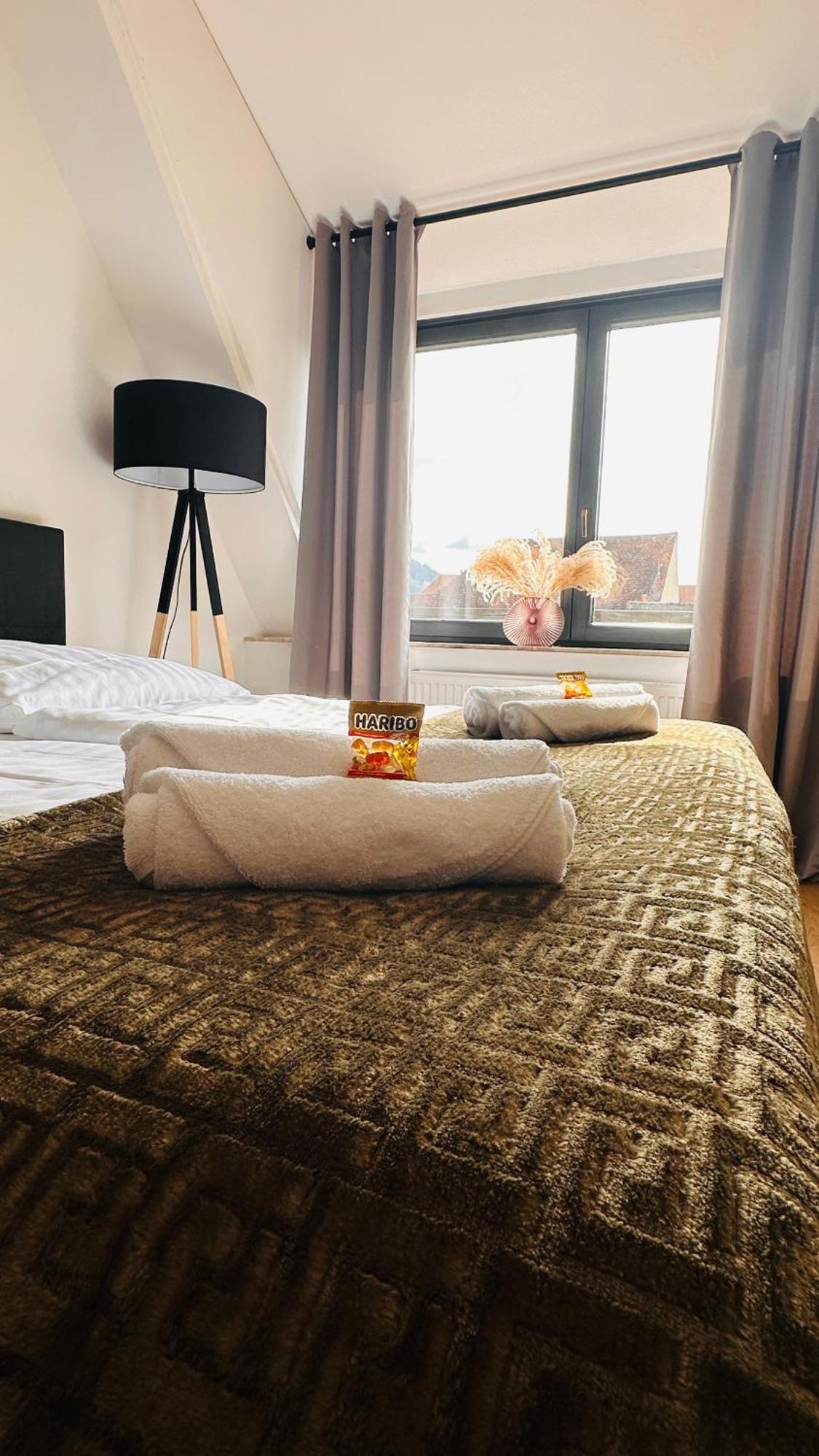 Amao-green: Center Maisonette With Rooftop Terrace Apartment Lahr (Baden-Wurttemberg)