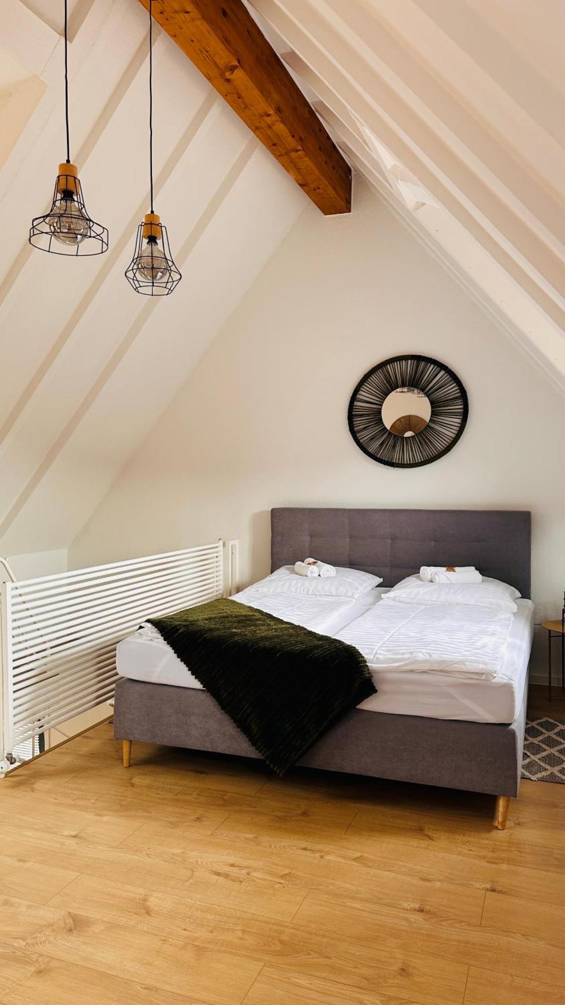 Amao-green: Center Maisonette With Rooftop Terrace Apartment Lahr (Baden-Wurttemberg)